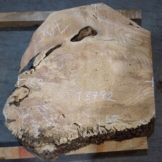 Esche Maser, ca. 650 x 630 x 50 mm, 13782