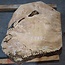 Esche Maser, ca. 650 x 630 x 50 mm, 13782