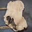 Esche Maser, ca. 1130 x 600 x 45 mm, 13783