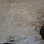 Esche Maser, ca. 1130 x 600 x 45 mm, 13783