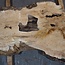 Esche Maser, ca. 1130 x 600 x 45 mm, 13783