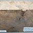 Walnut, fiddleback, approx. 200 x 200 x 50-55 mm, 1,7 kg