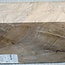 Walnut, fiddleback, approx. 200 x 200 x 50-55 mm, 1,7 kg