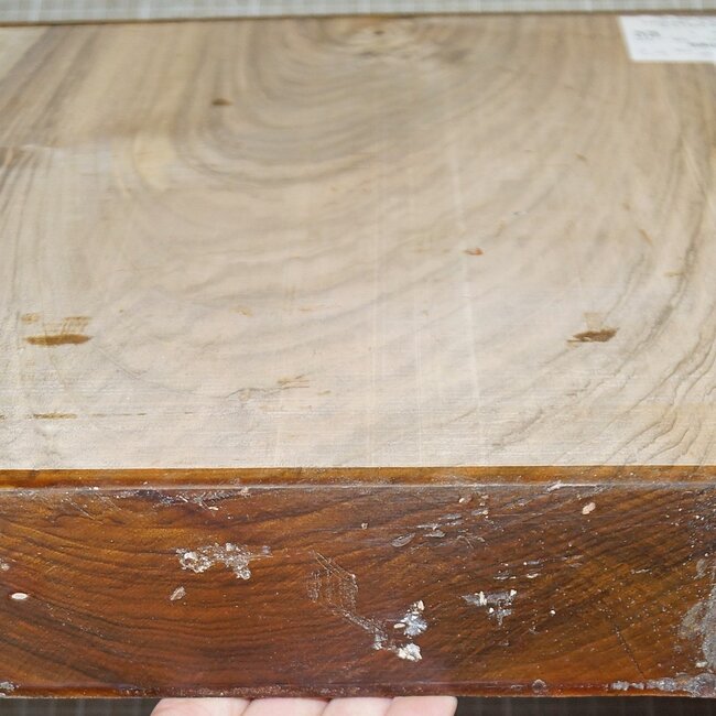 Franz. Nussbaum, ca. 350 x 350 x 60 mm, 5,1 kg
