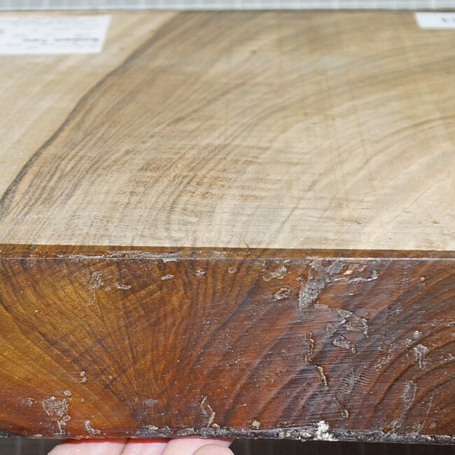 French walnut, approx. 250 x 245 x 60  mm, 2,8 kg