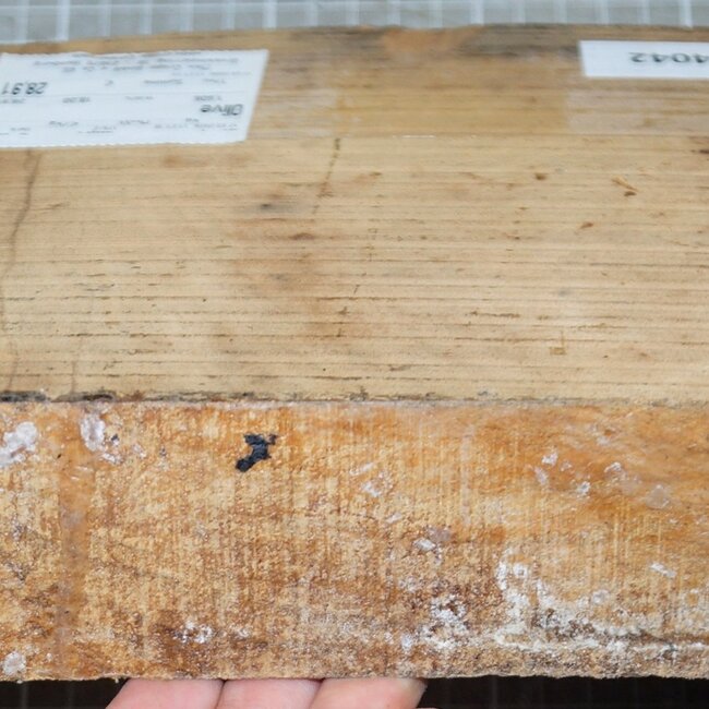 Olive, ca. 180 x 175 x 50 mm, 1,6 kg
