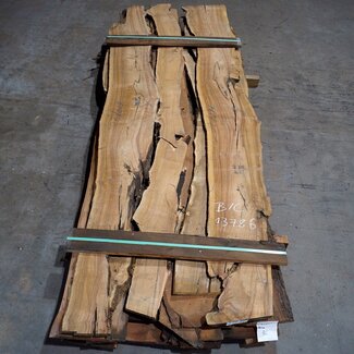 Lumber, B/C Quality, Olive & Service tree, various thicknesses, 13786 BC