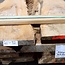 Lumber, B/C Quality, Elm, various thicknesses, 13786 BC