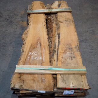 Lumber, B/C Quality, Elm, various thicknesses, 13787 BC