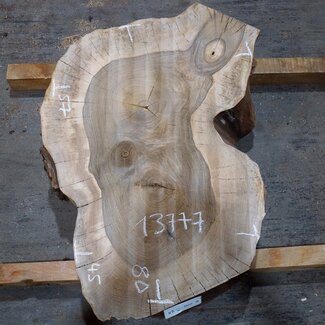 Walnut, slab, approx. 800 x 570/450 x 120 mm, 13777