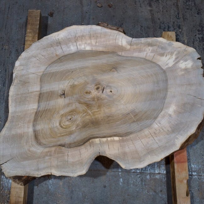 Walnut, slab, approx. 800 x 570/450 x 120 mm, 13777