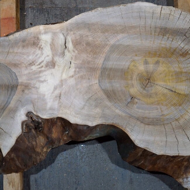 Walnut, slab, approx. 750 x 530/380 x 120 mm, 13776