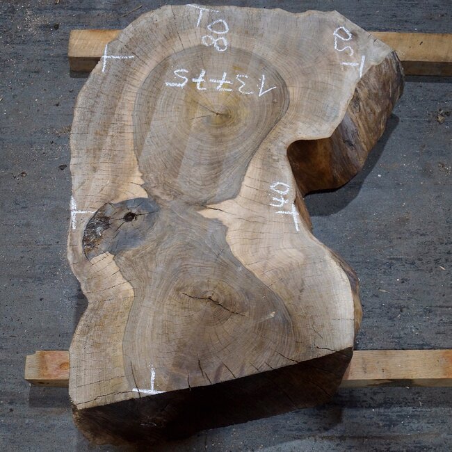 Walnut, slab, approx. 800 x 500/400 x 120 mm, 13775