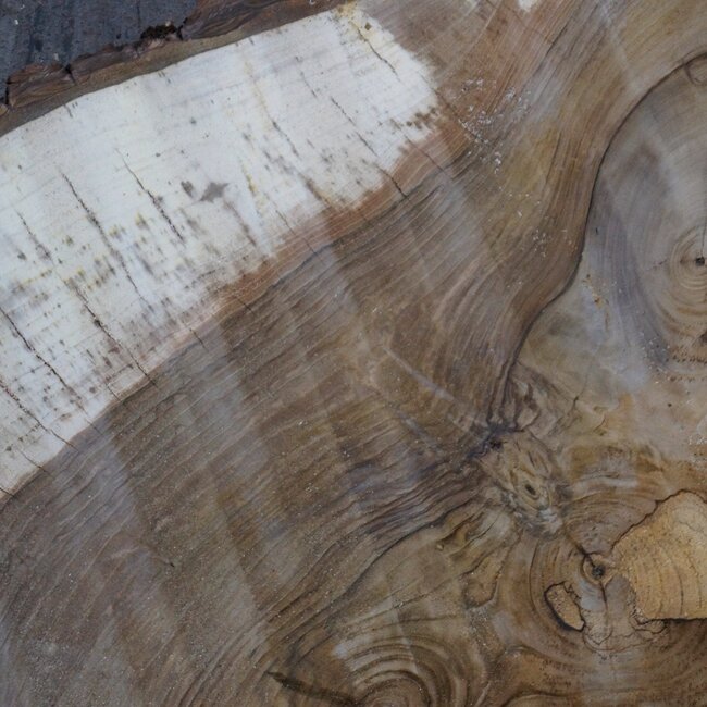 Walnut, slab, approx. 1060 x 970/600 x 130 mm, 13774