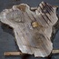 Walnut, slab, approx. 1090 x 1070/500 x 130 mm, 13773