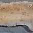 Kaukasische Rüster, Maser, Bohle, ca. 1700 x 480 x 52 mm, 13768