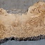 Caucasian Elm, burl, board, approx. 1700 x 480 x 52 mm, 13768
