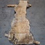 Caucasian Elm, burl, board, approx. 1700 x 460 x 52 mm, 13767