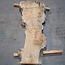 Caucasian Elm, burl, board, approx. 1700 x 460 x 52 mm, 13767