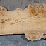 Caucasian Elm, burl, board, approx. 1700 x 460 x 52 mm, 13767