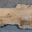 Caucasian Elm, burl, board, approx. 1700 x 500 x 52 mm, 13766
