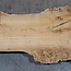 Caucasian Elm, burl, board, approx. 1700 x 500 x 52 mm, 13766