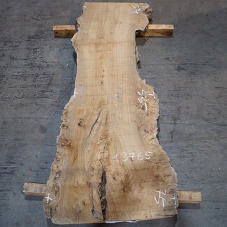 Caucasian Elm, burl, board, approx. 1700 x 550 x 52 mm, 13765