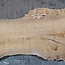 Caucasian Elm, burl, board, approx. 1700 x 550 x 52 mm, 13765