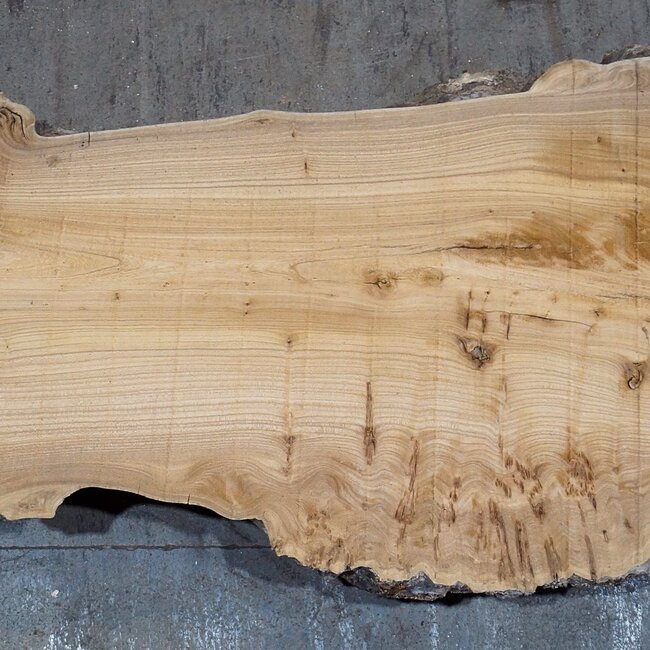Kaukasische Rüster, Maser, Bohle, ca. 1700 x 550 x 52 mm, 13765