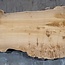 Caucasian Elm, burl, board, approx. 1700 x 550 x 52 mm, 13765