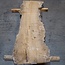 Caucasian Elm, burl, board, approx. 1700 x 530 x 52 mm, 13764