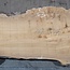 Caucasian Elm, burl, board, approx. 1700 x 530 x 52 mm, 13764