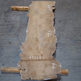 Kaukasische Rüster, Maser, Bohle, ca. 1700 x 520 x 52 mm, 13763