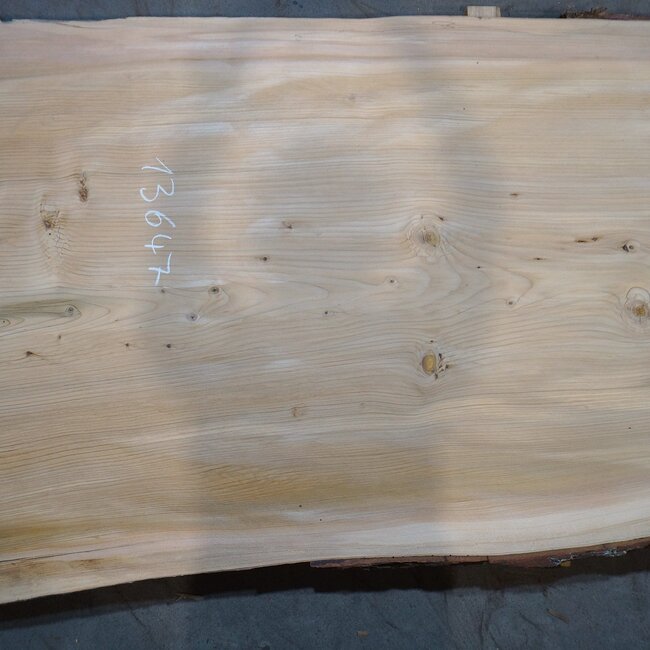 Libanon Zeder Tischplatte, ca. 5000 x 1070/870/770 x 60 mm, 13647 G