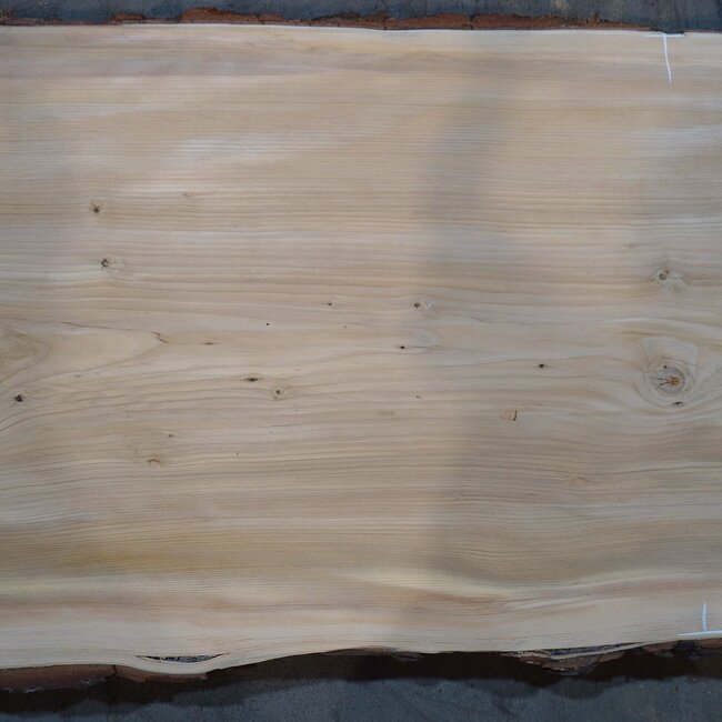 Lebanon Cedar table top, approx. 5000 x 1070/870/770 x 60 mm, 13647 G