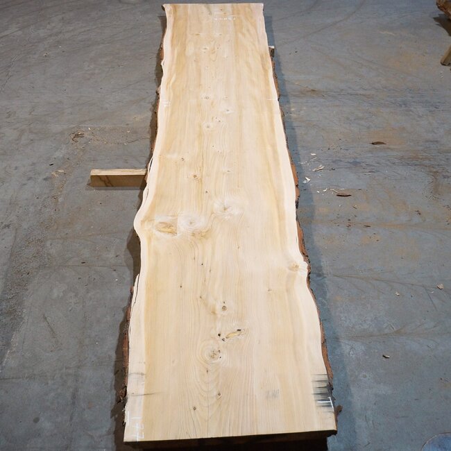 Lebanon Cedar table top, approx. 5000 x 1070/870/770 x 60 mm, 13647 G