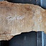 Pappel Maser, ca. 1500 x 650/400 x 52 mm, 12666