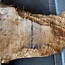 Pappel Maser, ca. 1500 x 650/400 x 52 mm, 12666