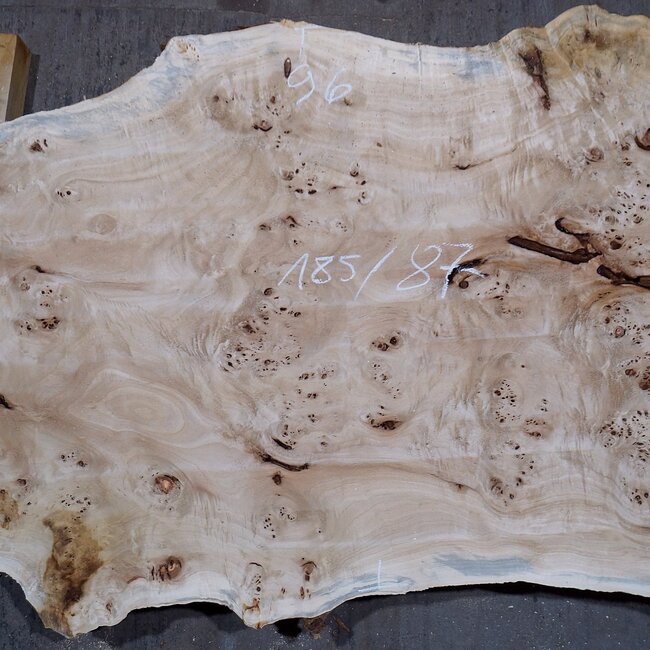 Pappel Maser Bohle, ca. 1850 x 870 x 65 mm, 13584