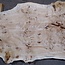 Pappel Maser Bohle, ca. 1850 x 870 x 65 mm, 13584