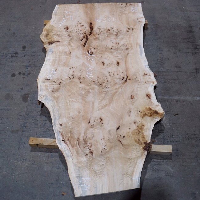 Pappel Maser Bohle, ca. 1850 x 870 x 65 mm, 13584