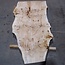 Pappel Maser Bohle, ca. 1850 x 870 x 65 mm, 13584