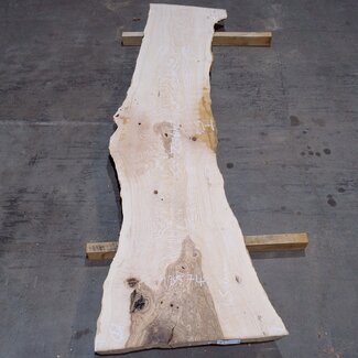 Olivesche Bohle, ca. 2400 x 520 x 45 mm, 13574