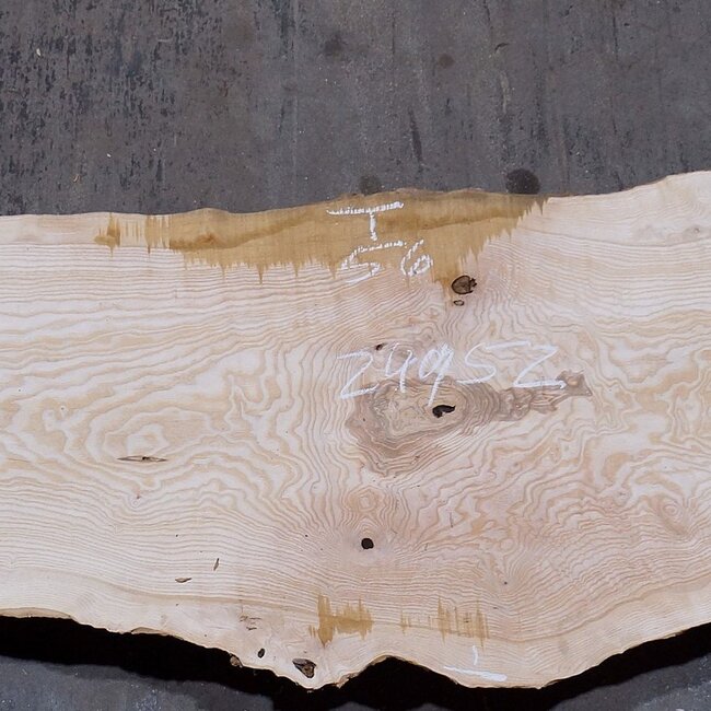 Olivesche, ca. 2400 x 520 x 45 mm, 13574