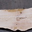 Olivesche, ca. 2400 x 520 x 45 mm, 13574