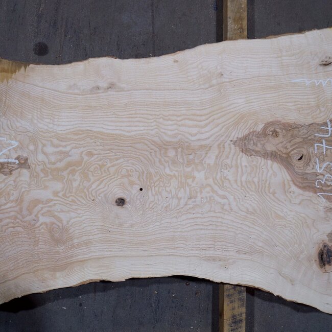 Olivesche, ca. 2400 x 520 x 45 mm, 13574
