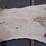 Olive ash board, approx. 2400 x 520 x 45 mm, 13574