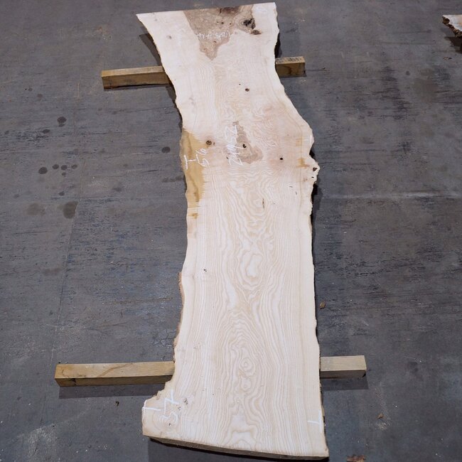 Olivesche, ca. 2400 x 520 x 45 mm, 13574