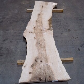 Olivesche Bohle, ca. 2400 x 590 x 45 mm, 13573