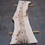 Olivesche Bohle, ca. 2400 x 590 x 45 mm, 13573